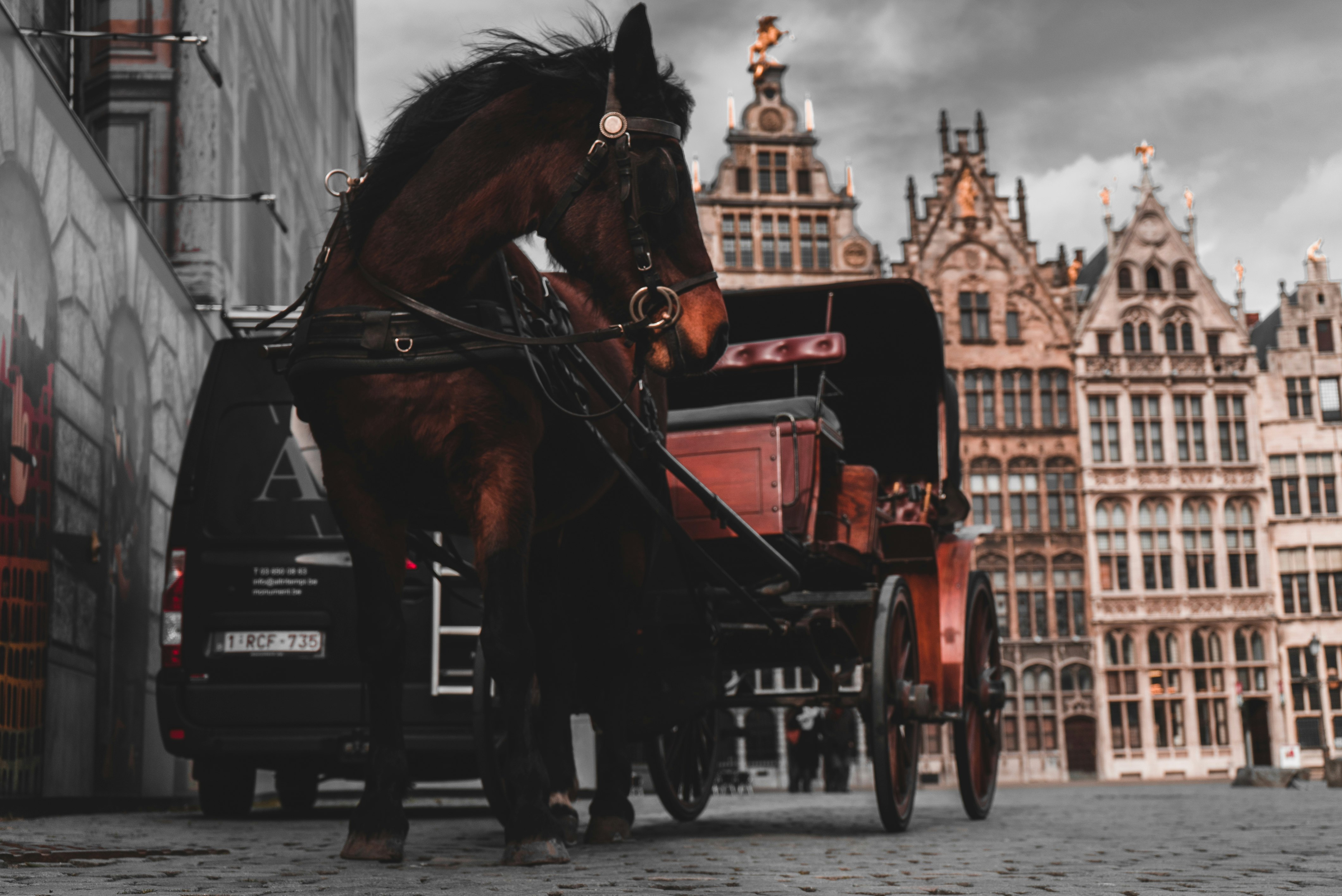 brown horse pulling carriage during daytime